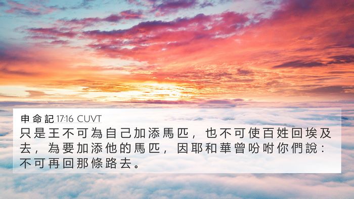 申 命 記 17:16 CUVT Bible Verse Image