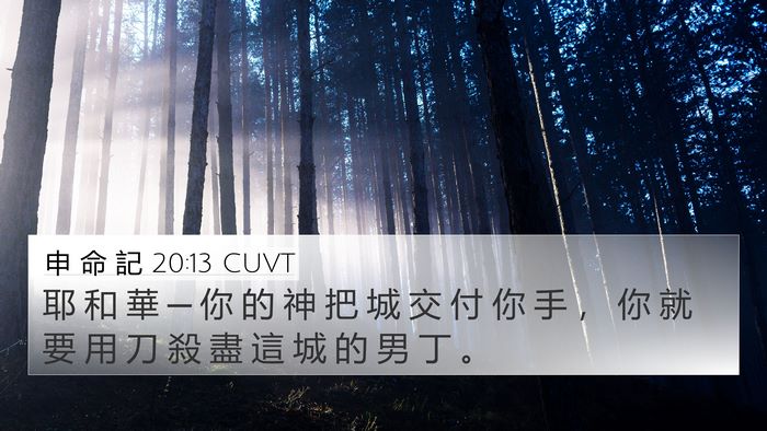 申 命 記 20:13 CUVT Bible Verse Image