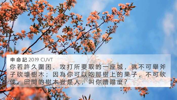 申 命 記 20:19 CUVT Bible Verse Image