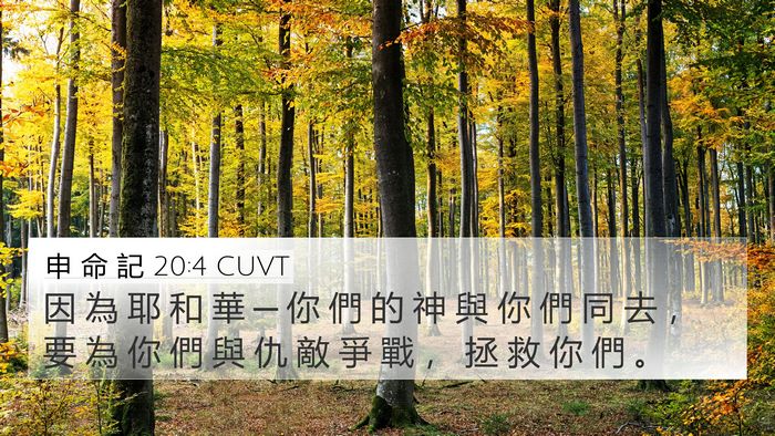 申 命 記 20:4 CUVT Bible Verse Image