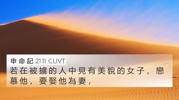 申 命 記 21:11 CUVT Bible Verse Image
