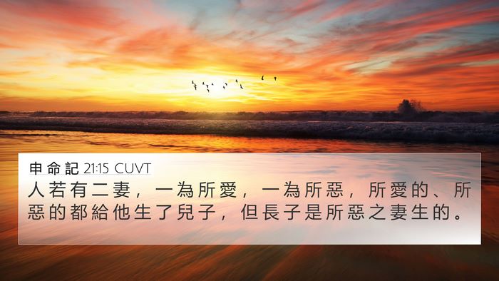 申 命 記 21:15 CUVT Bible Verse Image