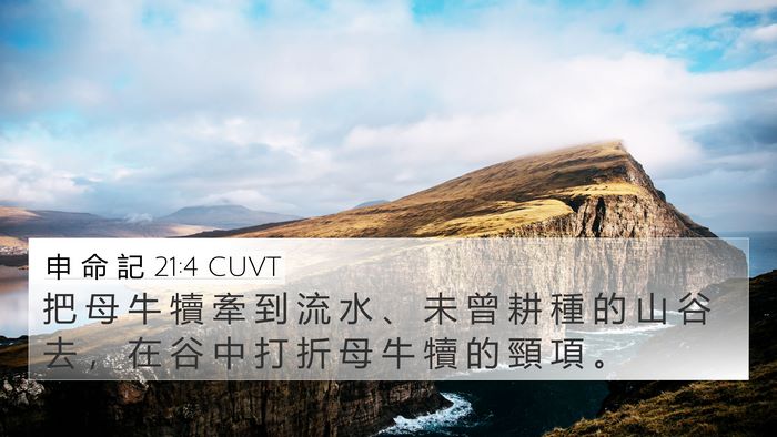 申 命 記 21:4 CUVT Bible Verse Image
