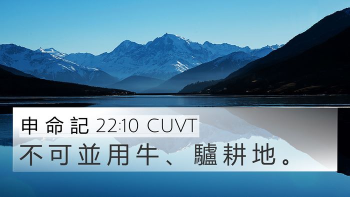 申 命 記 22:10 CUVT 4K Wallpaper - 不 可 並 用 牛 、 驢 耕 地 - 4K Wallpaper Bible Verse