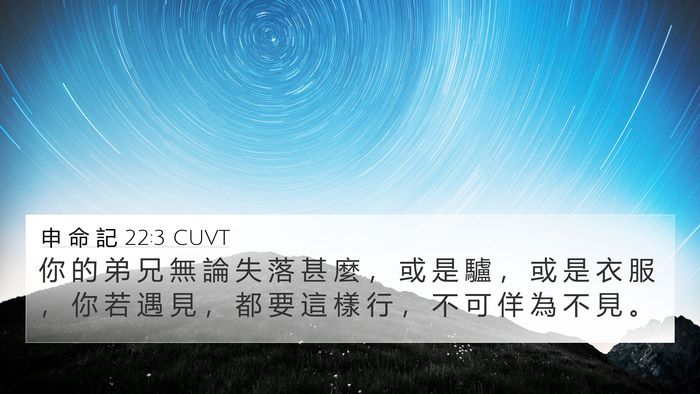 申 命 記 22:3 CUVT Bible Verse Image