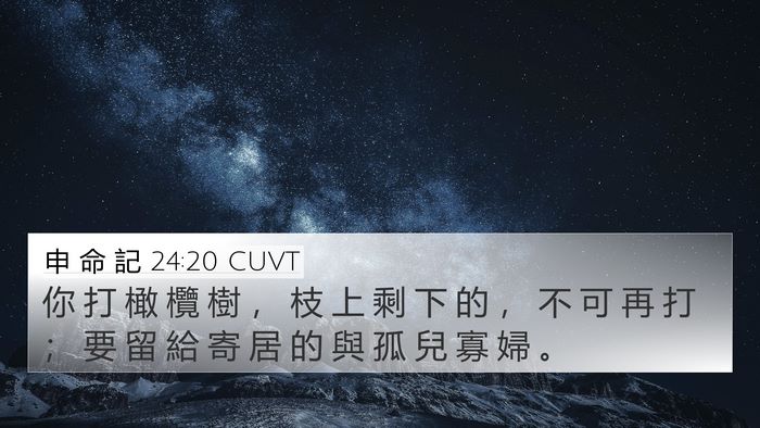 申 命 記 24:20 CUVT 4K Wallpaper - 你 打 橄 欖 樹 ， 枝 上 剩 下 的 ， - 4K Wallpaper Bible Verse
