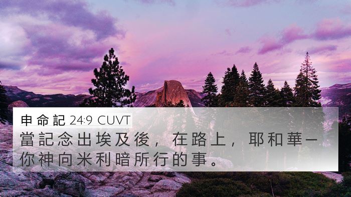 申 命 記 24:9 CUVT Bible Verse Image