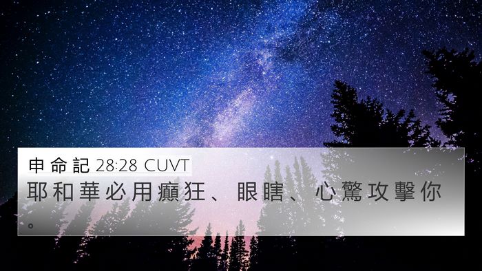 申 命 記 28:28 CUVT Bible Verse Image