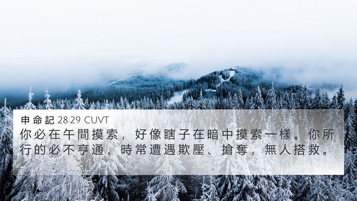 申 命 記 28:29 CUVT Bible Verse Image