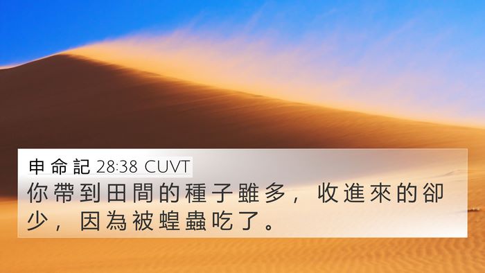 申 命 記 28:38 CUVT Bible Verse Image