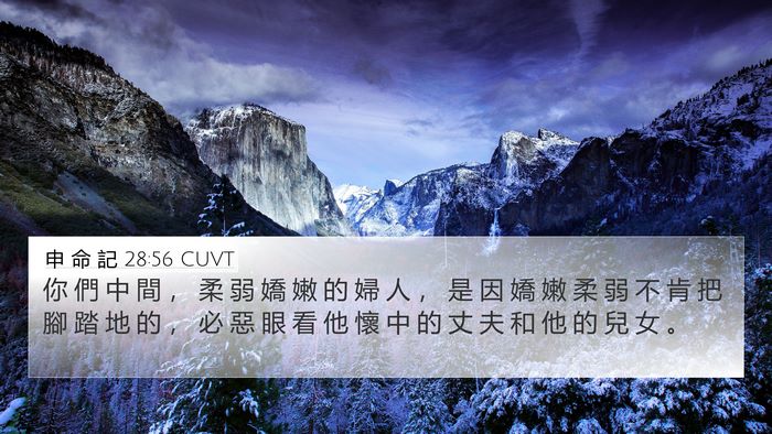 申 命 記 28:56 CUVT Bible Verse Image