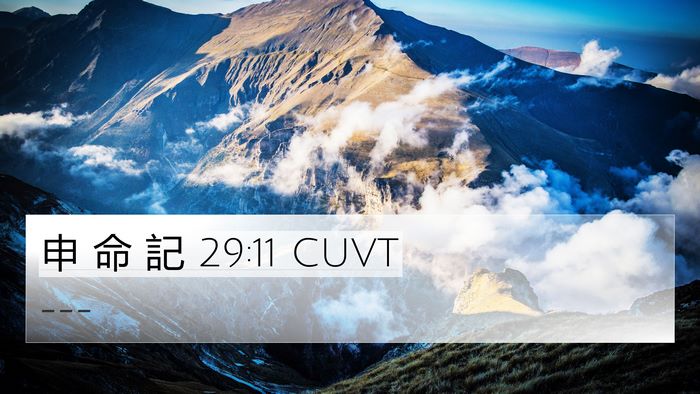申 命 記 29:11 CUVT Bible Verse Image