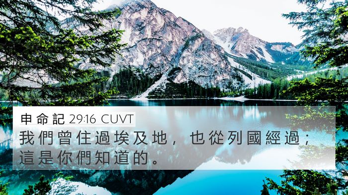 申 命 記 29:16 CUVT Bible Verse Image