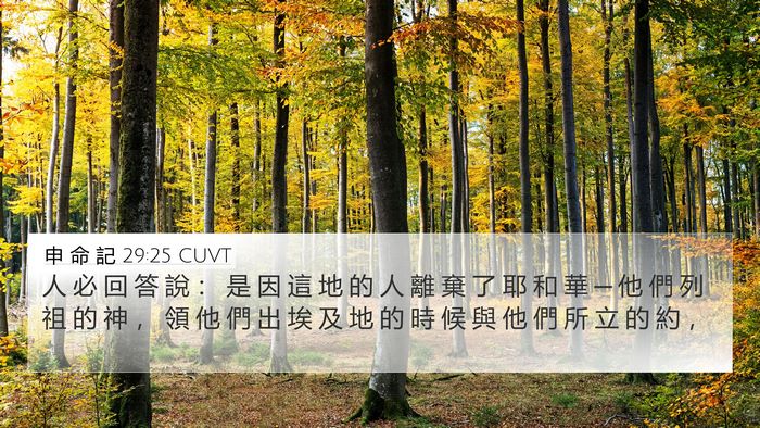 申 命 記 29:25 CUVT Bible Verse Image