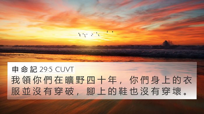 申 命 記 29:5 CUVT Bible Verse Image