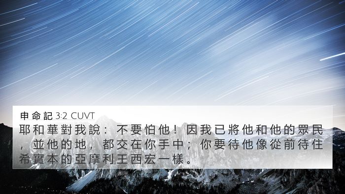 申 命 記 3:2 CUVT Bible Verse Image