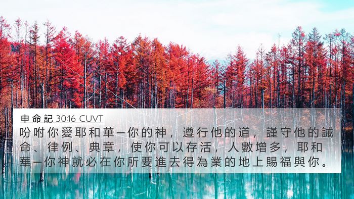 申 命 記 30:16 CUVT Bible Verse Image