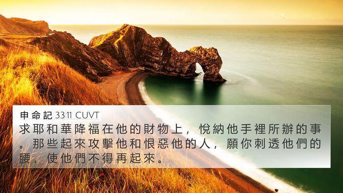 申 命 記 33:11 CUVT Bible Verse Image