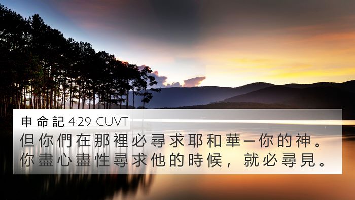 申 命 記 4:29 CUVT Bible Verse Image