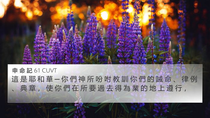 申 命 記 6:1 CUVT Bible Verse Image