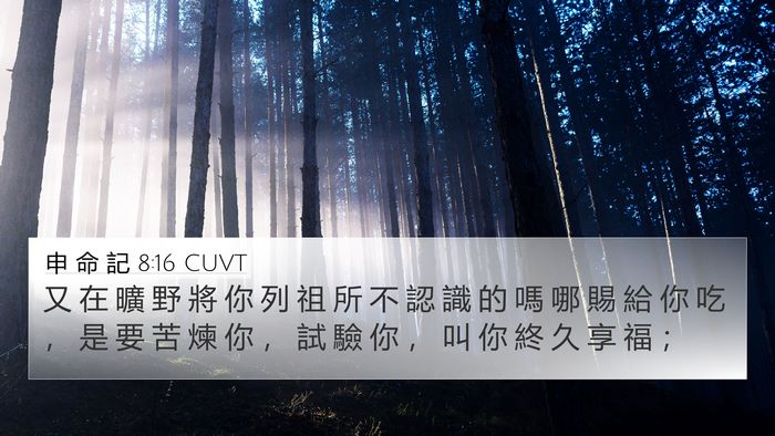 申 命 記 8:16 CUVT Bible Verse Image