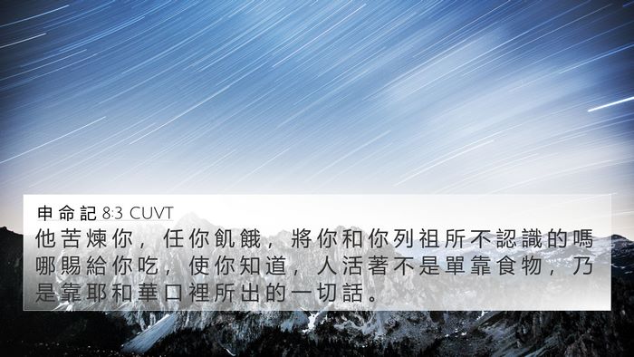 申 命 記 8:3 CUVT Bible Verse Image