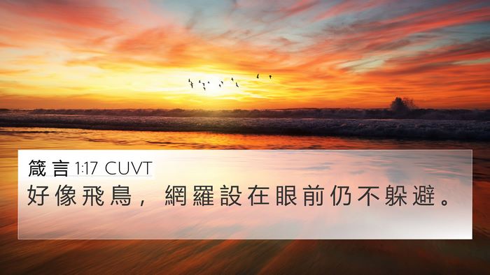 箴 言 1:17 CUVT Bible Verse Image