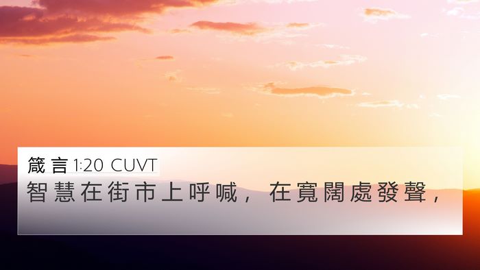 箴 言 1:20 CUVT Bible Verse Image