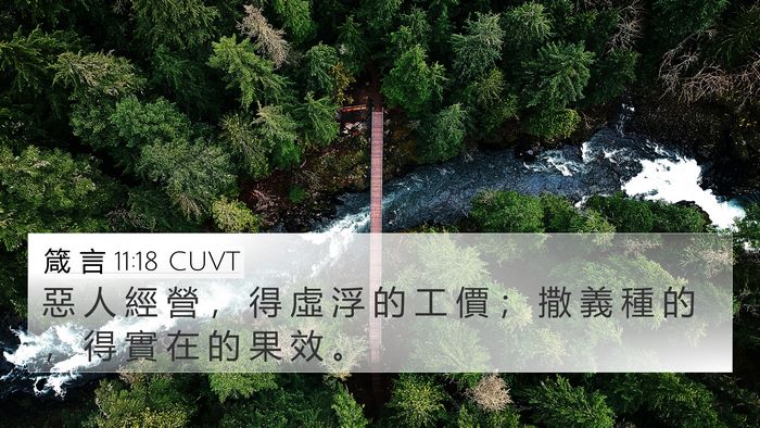 箴 言 11:18 CUVT Bible Verse Image