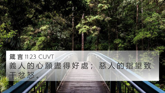 箴 言 11:23 CUVT Bible Verse Image