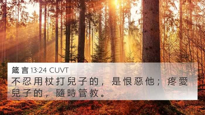 箴 言 13:24 CUVT Bible Verse Image
