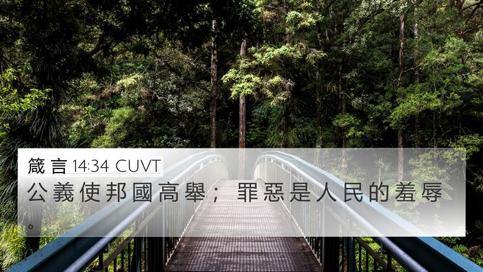 箴 言 14:34 CUVT 4K Wallpaper - 公 義 使 邦 國 高 舉 ； 罪 惡 是 人 - 4K Wallpaper Bible Verse