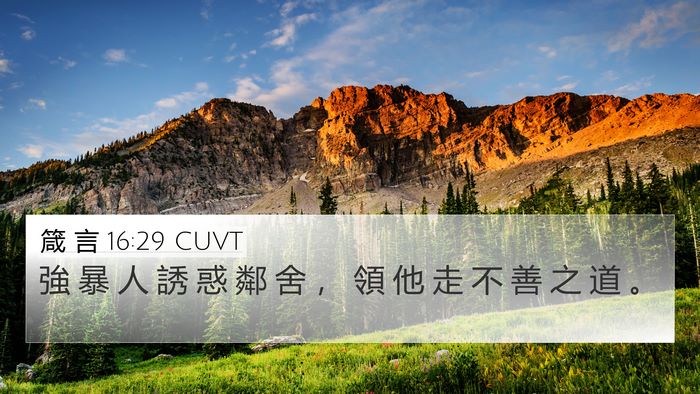 箴 言 16:29 CUVT Bible Verse Image