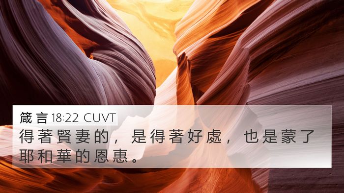 箴 言 18:22 CUVT Bible Verse Image