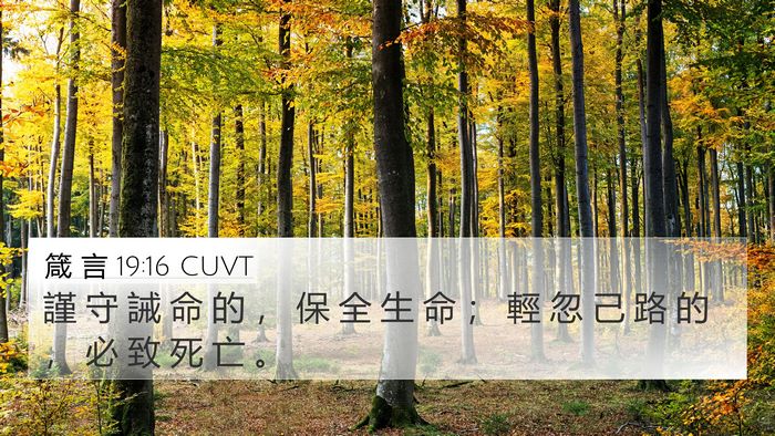 箴 言 19:16 CUVT 4K Wallpaper - 謹 守 誡 命 的 ， 保 全 生 命 ； 輕 - 4K Wallpaper Bible Verse
