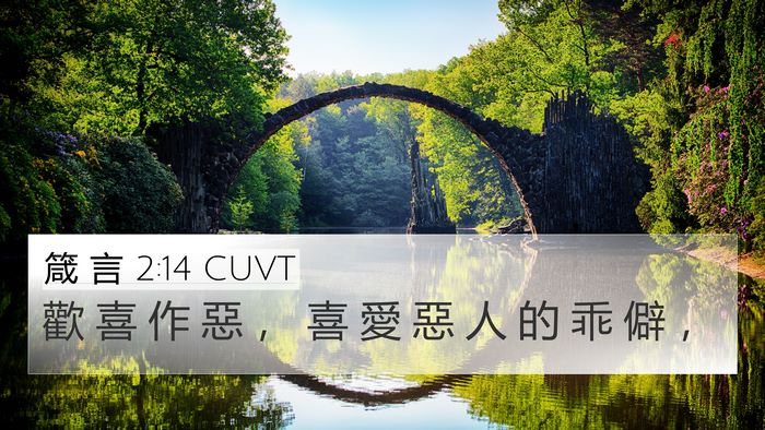 箴 言 2:14 CUVT Bible Verse Image
