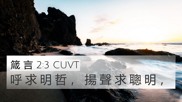 箴 言 2:3 CUVT Bible Verse Image
