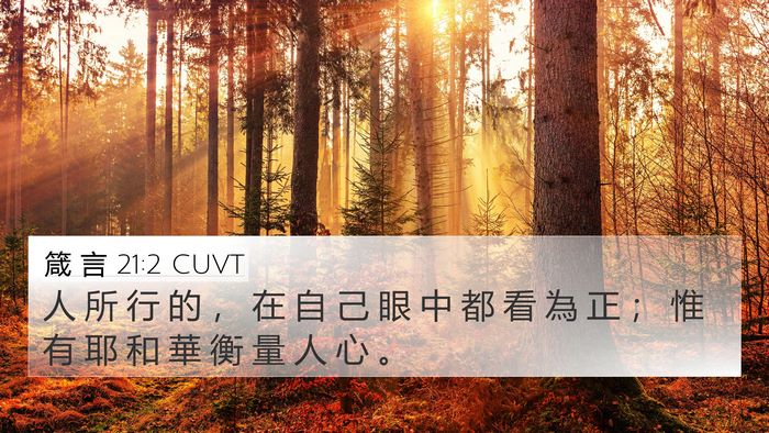 箴 言 21:2 CUVT Bible Verse Image