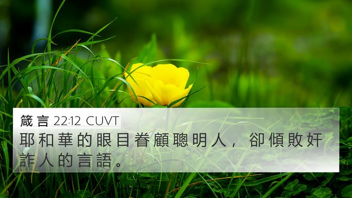 箴 言 22:12 CUVT 4K Wallpaper - 耶 和 華 的 眼 目 眷 顧 聰 明 人 ， - 4K Wallpaper Bible Verse