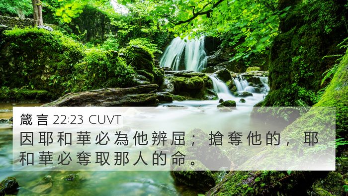 箴 言 22:23 CUVT Bible Verse Image