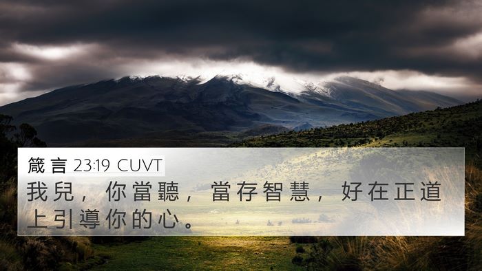 箴 言 23:19 CUVT Bible Verse Image