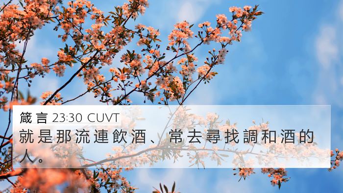 箴 言 23:30 CUVT 4K Wallpaper - 就 是 那 流 連 飲 酒 、 常 去 尋 找 - 4K Wallpaper Bible Verse