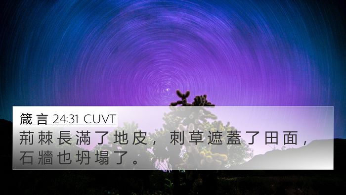 箴 言 24:31 CUVT 4K Wallpaper - 荊 棘 長 滿 了 地 皮 ， 刺 草 遮 蓋 - 4K Wallpaper Bible Verse
