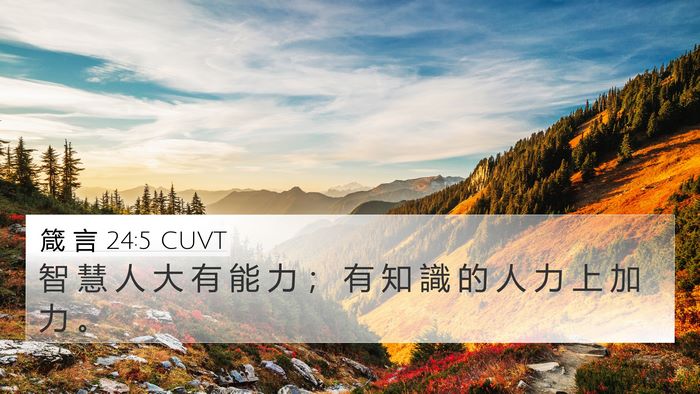 箴 言 24:5 CUVT Bible Verse Image
