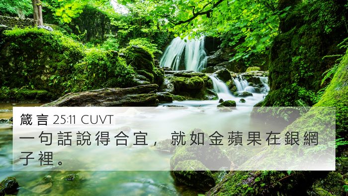 箴 言 25:11 CUVT Bible Verse Image
