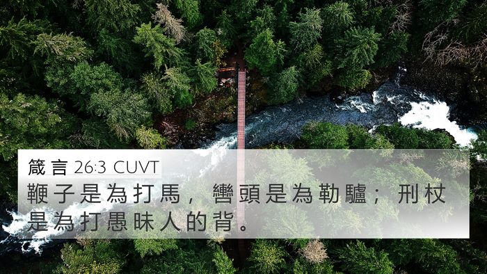 箴 言 26:3 CUVT Bible Verse Image