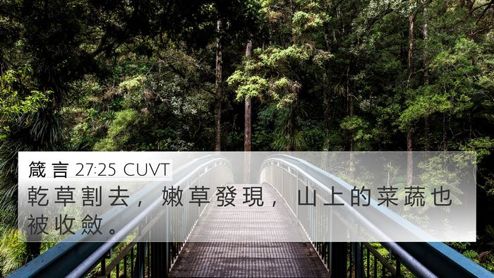 箴 言 27:25 CUVT 4K Wallpaper - 乾 草 割 去 ， 嫩 草 發 現 ， 山 上 - 4K Wallpaper Bible Verse