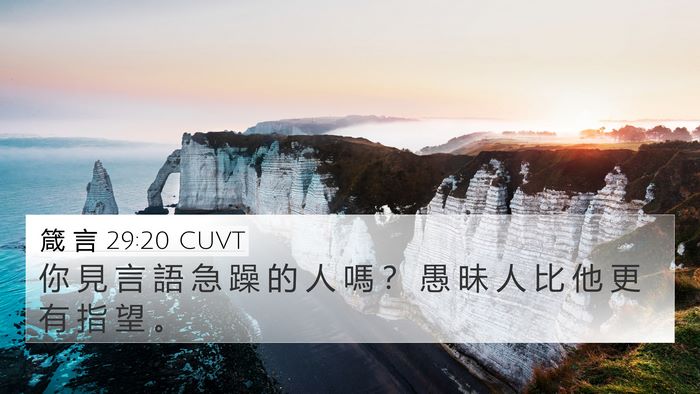 箴 言 29:20 CUVT Bible Verse Image