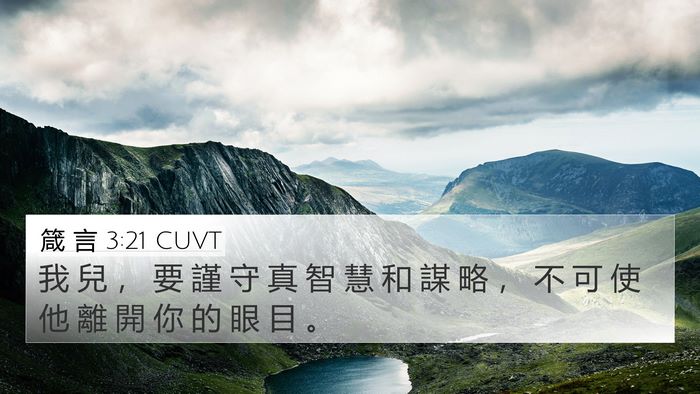 箴 言 3:21 CUVT Bible Verse Image