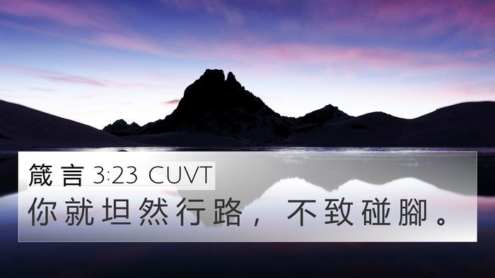 箴 言 3:23 CUVT Bible Verse Image
